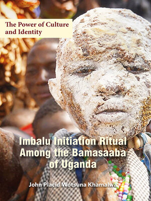 cover image of The Power of Culture and Identity